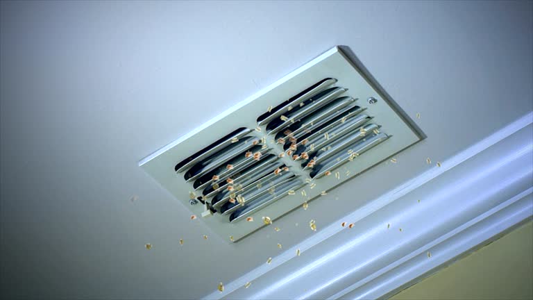 Best HVAC Duct Inspection Services  in Brownstown, PA